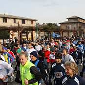 Gennaiola 2014